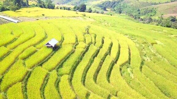 鸟瞰图从多米梯田水稻梯田在泰国北部MaeChaem清迈