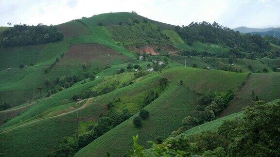 泰国北部的绿色山丘和种植园景观