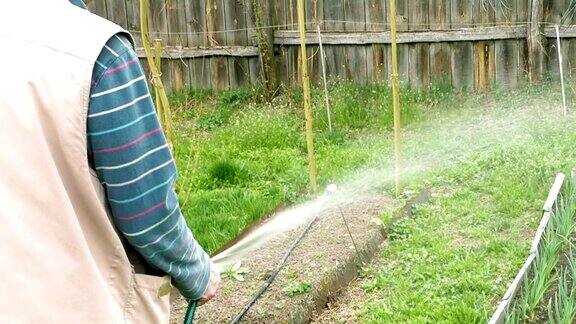 一位上了年纪的老人在给菜园浇水