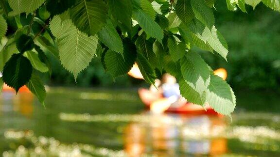 夏天在河上划独木舟旅行