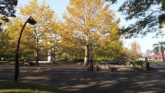 日本东京的安石公园秋色缤纷