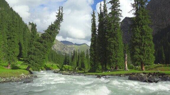 景观与山冷杉树和河流天山、吉尔吉斯斯坦
