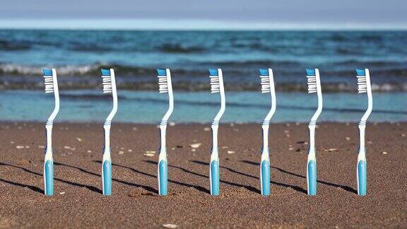 一排蓝白相间的塑料牙刷插在海滩上