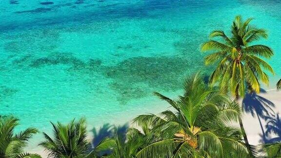 无人机拍摄的热带岛屿和棕榈树