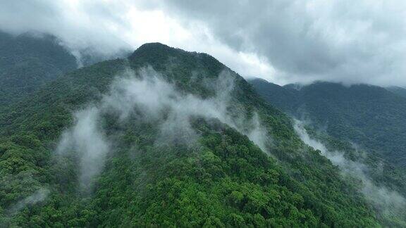 在美丽的森林山景中升起雾的航拍镜头