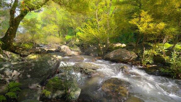 雨林里的瀑布有水流自然之美适合冥想和放松