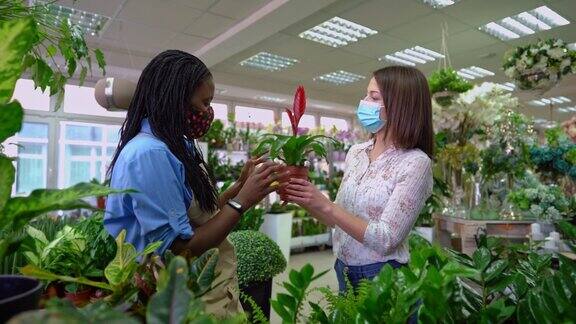 花商正在向一位女性顾客展示盆栽植物