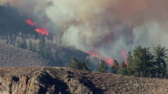 大火吞噬了东部的阿拉帕霍国家森林