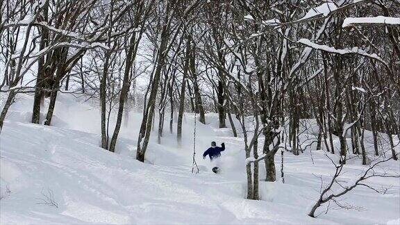 滑雪板粉末在日本