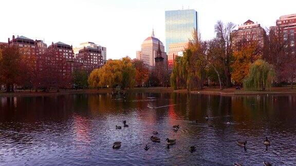 波士顿公共花园