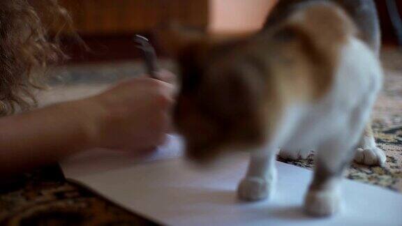 一个女人在客厅里和她的猫玩手里拿着一个画板