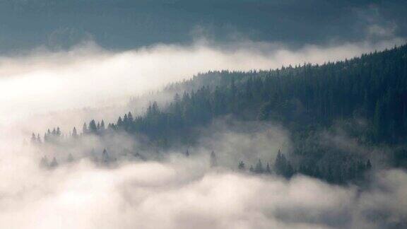 美丽的山景与雾