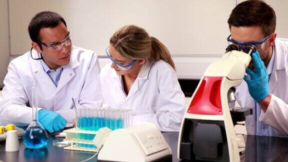 年轻的科学家们在实验室里一起工作