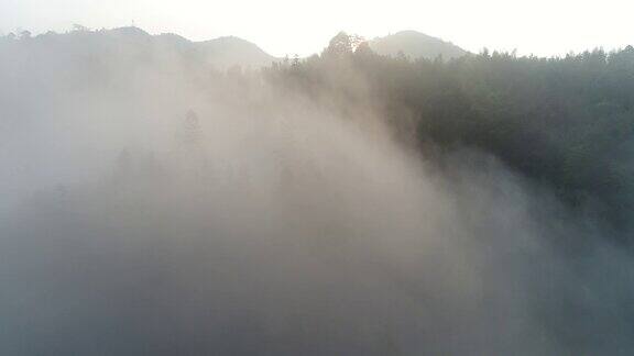 空中拍摄的雾在森林山坡桂林中国