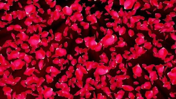 玫瑰花瓣从上到下电脑生成花瓣雨浪漫背景的3d渲染