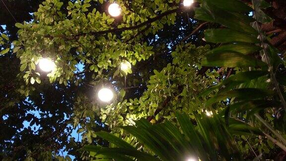 灯光装饰在晚上的花园节日或聚会区域放松自然气氛的空间