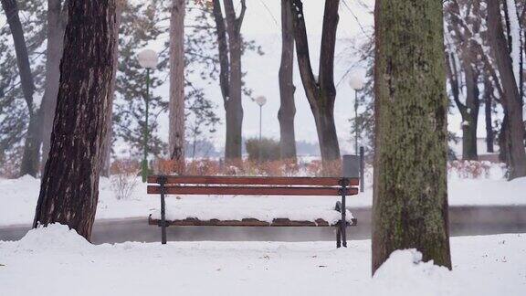 公园里的雪地长椅