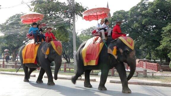 游客在泰国的大城府骑大象和佛塔