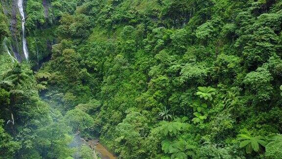 4K:无人机拍摄的Madakaripura瀑布东爪哇印度尼西亚