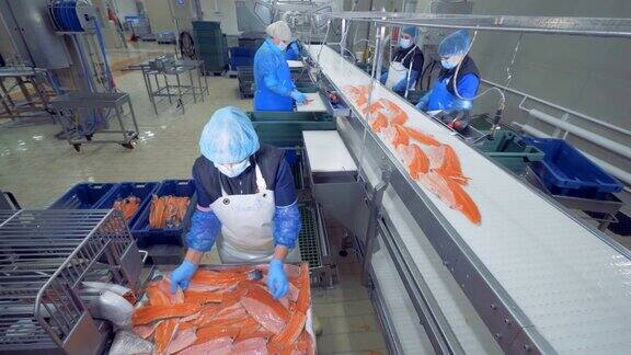运输机构是对鱼类进行重新定位加工鱼厂