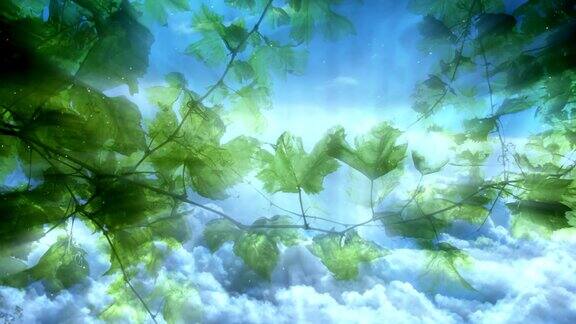 绿叶和天空动画