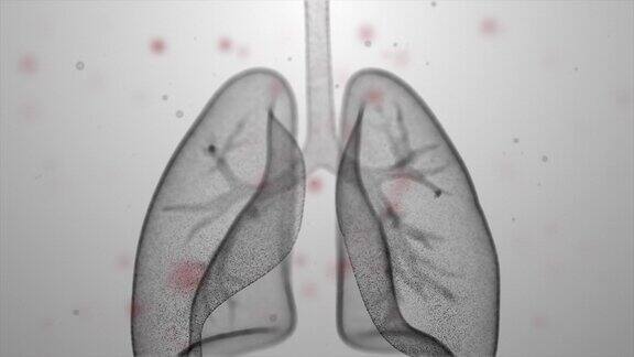 呼吸系统部位解剖-新冠肺炎-冠状病毒