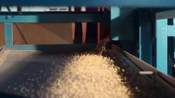 生米摄像头大米碾磨过程，以分离大米到糙米
