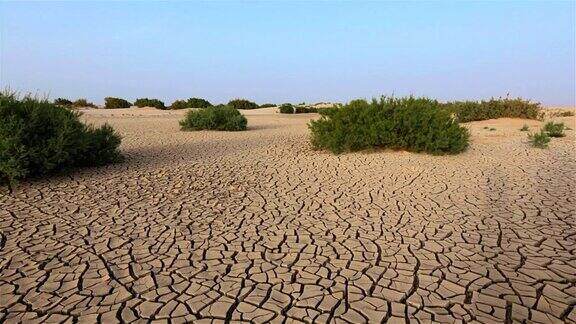 突尼斯非洲沙漠中的干旱荒地