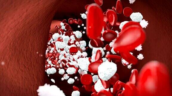 血液中的血细胞白细胞血小板