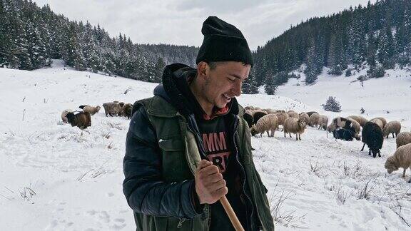 羊养殖牧羊人带着羊群在雪山的牧场上吃草传统畜牧业