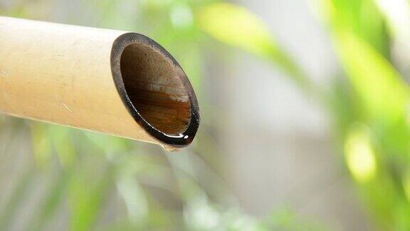 水从干竹秆上滴下来