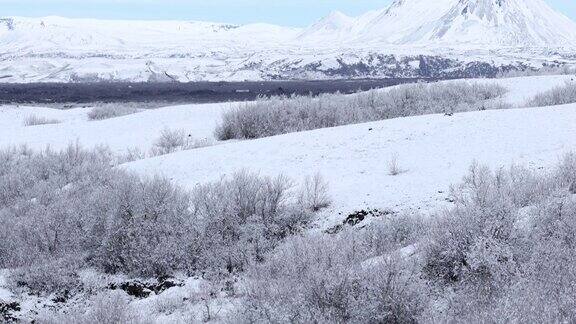 冰岛DimmuborgirLakeMyvatn冬季景观倾斜拍摄