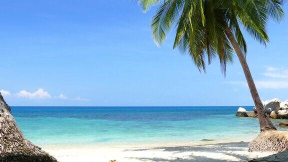 种着椰子树的天堂海滩与蓝色的绿松石海