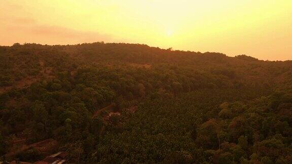 印度森林Arial视图4K