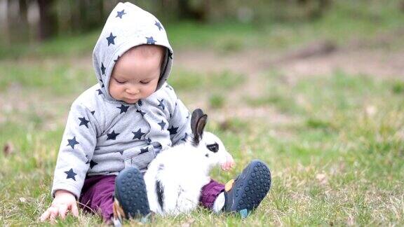 可爱的小男孩孩子在公园户外玩小兔子