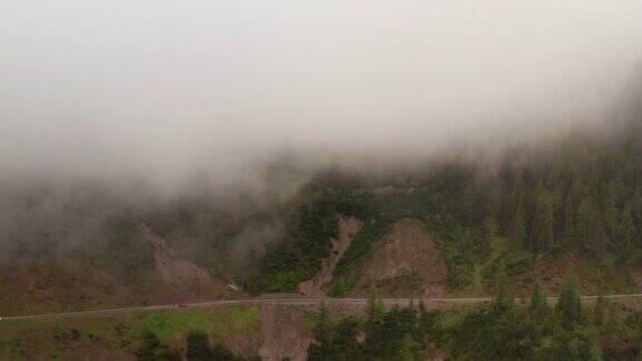 在雾山山顶的景观充满了森林和松树