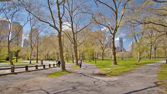 纽约空旷的中央公园的行人