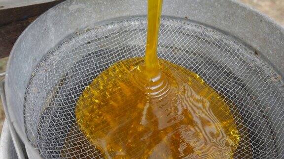 从蜂蜜萃取器中取出的蜂蜜经过饲料过滤蜂蜜从滤锅上的萃取器流出