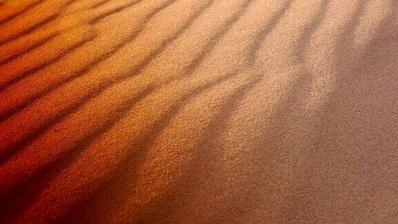 日落和从海上沙丘吹起的沙子