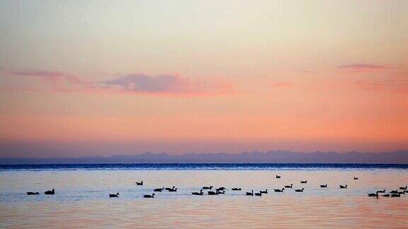 青海湖的黎明中国
