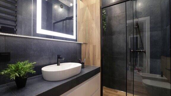现代豪华浴室-深蓝色木材和黑色