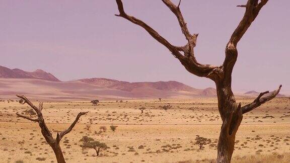 纳米布沙漠的景观