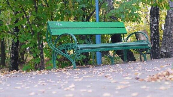 公园里的绿色长凳近距离