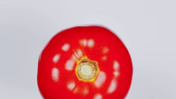 收获成熟的红番茄番茄旋转俯视图