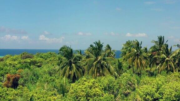 马尔代夫热带小岛的无人机照片