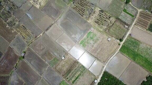 泰国种植季节前农业和稻田的鸟瞰图