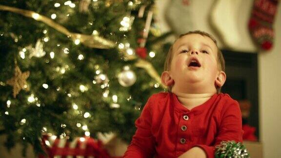 一个三岁的白种人男孩在红色衬衫大笑微笑和鼓掌而在圣诞节的圣诞树前拿着一份圣诞礼物