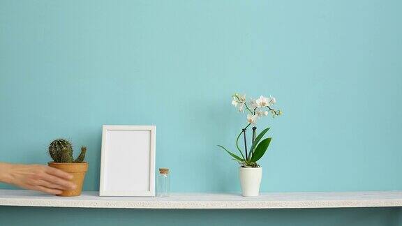 现代房间装饰与画框模型白色的架子对着淡蓝色的墙壁墙上有盆栽兰花和手放下的仙人掌