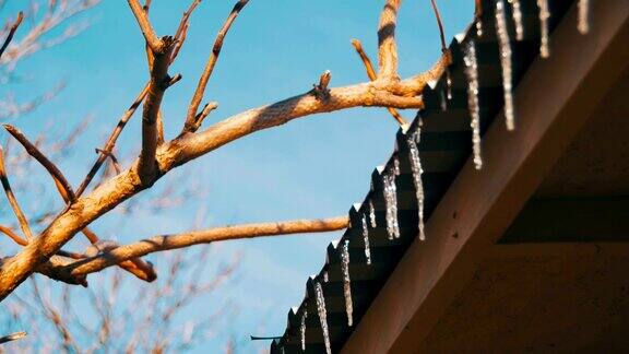 冬日的冰柱在春天的阳光下融化在屋顶上从顶端滴落下来
