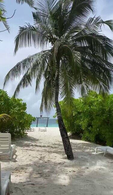 马尔代夫大海海洋棕榈树和海滩